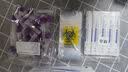 康华生物新冠检测试剂盒非核酸检测新冠抗原病毒家用快速检测试纸25人份 实拍图