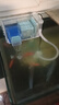 金利佳鱼缸过滤器净水循环三合一水泵干湿分离净水器内置外置过滤滴流盒 全新升级三滤盒+水泵滤材 实拍图