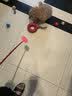 波奇多 宠物爱心拍 大号(62cm)打狗棍训犬皮鞭子马犬训练猫轻便训狗神器 实拍图