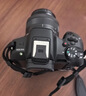 佳能（Canon）佳能r50 入门级微单相机 Vlog拍摄 4K高清视频 自拍照相 半画幅无反 学生旅行家用 扫街旅拍套装  实拍图