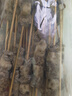 鲜京采内蒙古孜然羊肉串净重2斤 （约50串）露营户外烧烤 京东自有品牌 实拍图