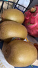佳沛（zespri）新西兰 阳光金奇异果12粒特大果单果124-146g 猕猴桃水果礼盒 实拍图