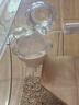 CARNO PET PRODUCTS卡诺nono仓鼠磁吸水壶金丝熊饮水器荷兰猪花枝鼠豚鼠喂水器220ML 实拍图