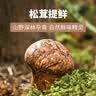 松鲜鲜松茸鲜调味料125g+金标松茸鲜酱油490mL【0添加】炒菜煲汤 实拍图