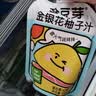 金豆芽金银花柚子汁儿童果汁饮品送礼盒装夏天户外饮料100ml*13袋 实拍图