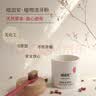 皓齿安植物洁牙粉陈修园古方青盐炮附子洗牙渍清口气敏感牙龈口腔护理 80克1盒 实拍图