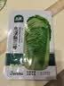 北蔬 北京新三号大白菜种子苗耐寒秋冬庭院田间菜籽 北京新三号种子5g 实拍图