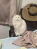 京东京造 鲜肉多多全价主食猫条15g*39支 3拼猫零食补水鸡肉鱼油美毛0添加 实拍图