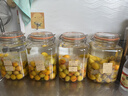 kilner玻璃密封罐食品级茶叶罐储物罐 果酱蜂蜜罐泡菜泡酒容器 3000ml 实拍图