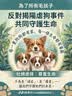 皇家猫粮 幼猫猫粮K36-适用于12月龄50g*3 实拍图