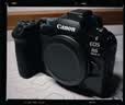 佳能（Canon）RF24-105mm F2.8 L IS USM Z 全画幅标准变焦微单镜头 L级恒定F2.8大光圈 滤镜防护套装 实拍图