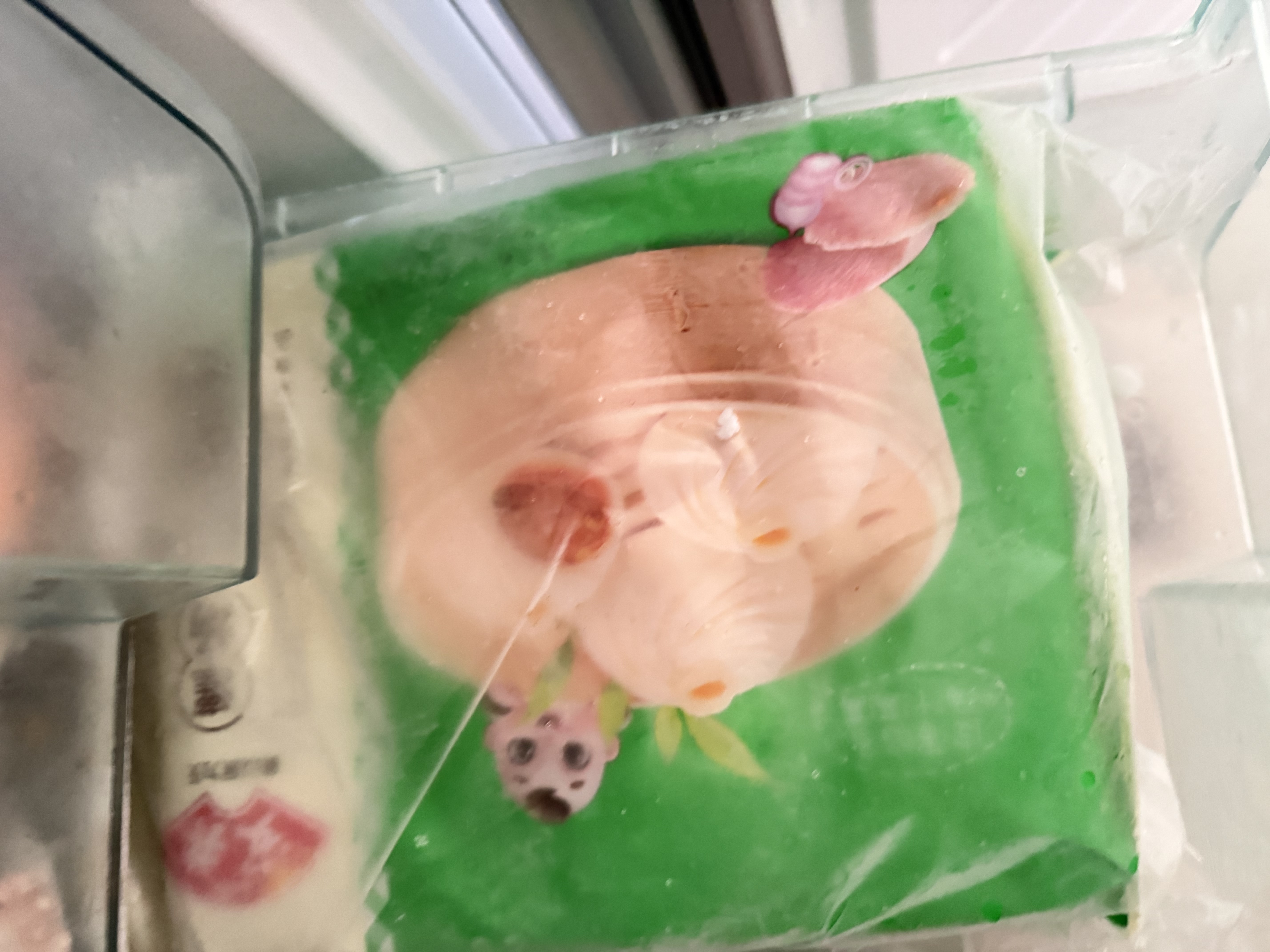 安井灌汤小笼包 288g*3袋 共36只 包子汤包肉包 早餐面点 冷冻家庭装 实拍图