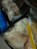双汇猪小蹄膀净重3斤冷冻猪蹄膀猪肘子切块猪肉酱卤蹄髈 实拍图