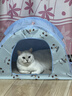 诚实一口P32全价猫粮成猫幼猫室内外低敏轻松蛋白易消化守护肠胃营养1.5kg 实拍图