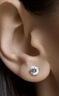 施华洛世奇（SWAROVSKI）CONSTELLA 璀璨星光 耳钉耳环女耳饰生日礼物女母亲节礼物1800046 实拍图