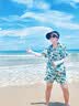 普莱斯（pulais）墨镜男士变色偏光开车驾驶专用飞行员太阳镜痞帅蛤蟆眼镜防紫外线 实拍图