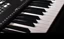 雅马哈（YAMAHA）(YAMAHA) PSR- F52儿童成人通用零基础初学入门娱乐演奏电子琴 实拍图