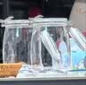 美厨（MAXCOOK）玻璃密封罐 储物瓶泡酒瓶玻璃瓶子泡腊八蒜 1000ml 2个装 MCX1039 实拍图