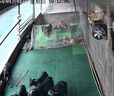 海康威视无线录像机监控2路监控主机NVR支持APP手机远程观看通道对讲DS-7802N-S1/W 实拍图