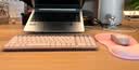 罗技（Logitech）MK251无线蓝牙键盘鼠标套装 办公商务笔记本电脑 数字键盘99键粉色键鼠套装（K251键盘+M196鼠标） 实拍图