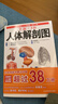 全新3D人体解剖图 人体肌肉解剖运动解剖学断层局部图谱解剖书教材卫生解剖生理学专业基础 医学书解剖图谱 200余幅全彩精密图谱人体解剖学书 实拍图