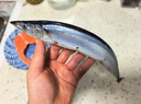 纯色本味 冷冻精品秋刀鱼净重2斤 烧烤食材纯鱼肉 实拍图
