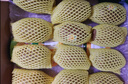 佳沛（zespri）新西兰 阳光金奇异果12粒特大果单果124-146g 猕猴桃水果礼盒 实拍图