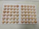 京鲜生 无抗保洁鲜鸡蛋30枚/盒 健康轻食 礼盒送礼 1.5kg/盒 源头直发 实拍图