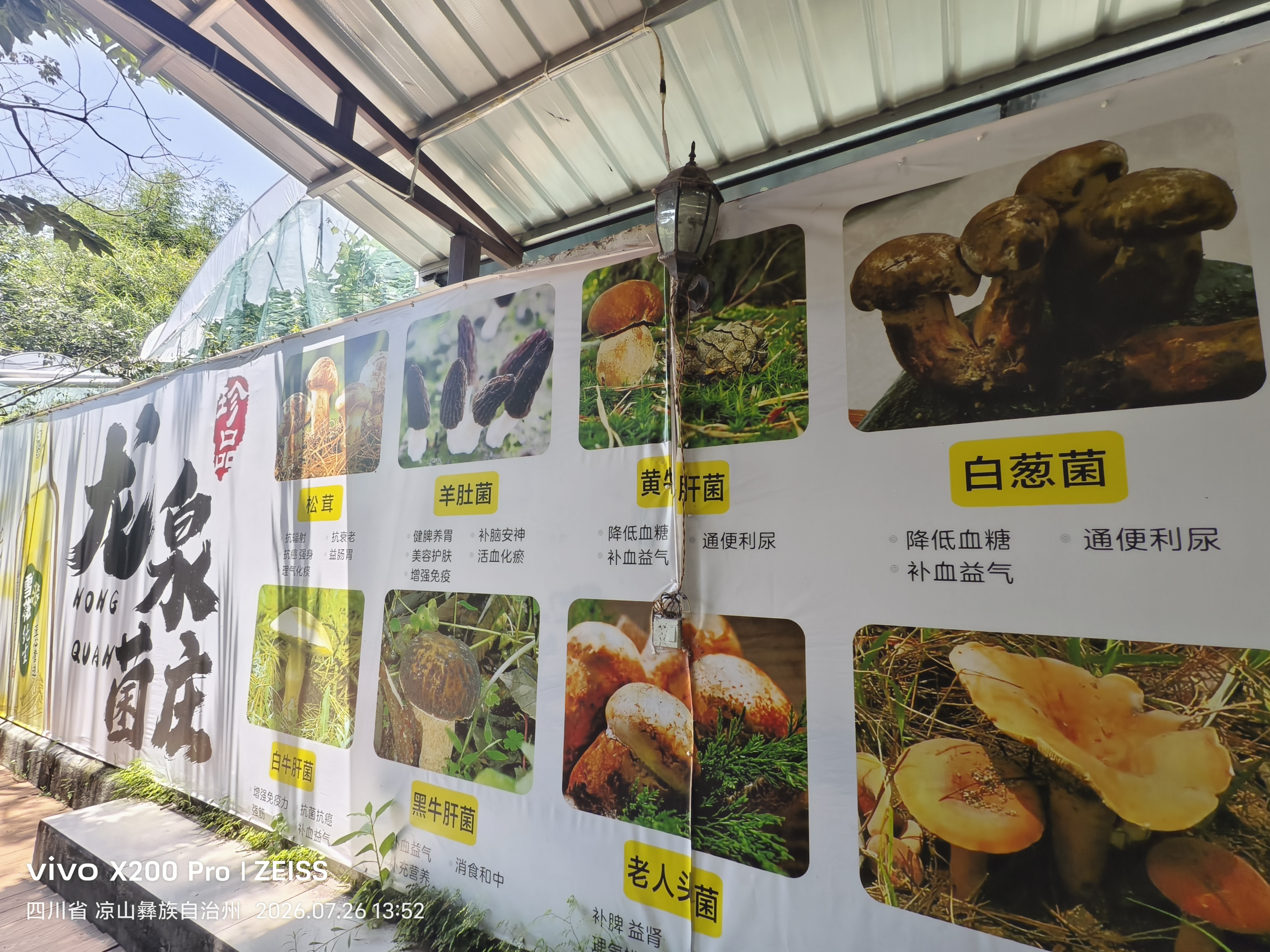 Tepe瑞典进口软毛牙刷趣彩1支装成人小头纤细男女士情侣家用颜色随机 实拍图