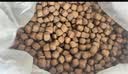 卫加高肉狗粮40斤装通用型大颗粒金毛德牧中大型犬成幼犬粮20kg 实拍图