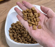 宝路狗粮 成犬狗粮中大中小型犬 全价狗粮牛肉味1.8kg 实拍图