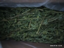 喜帅烘干紫花苜蓿草 幼兔兔粮牧草干草龙猫荷兰猪磨牙饲料净重750g 实拍图
