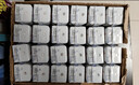 安佳（Anchor）3.6g蛋白质 全脂牛奶 250ml*24盒 新西兰原装进口草饲 实拍图
