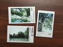 INSTAX富士instax立拍立得 mini相纸 彩虹单包10张+磁吸二合一相框 实拍图