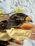 维特丝鱼子酱面膜抗皱紧致抗衰老补水保湿淡纹胶原蛋白去黄提亮肤色男女 实拍图