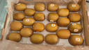 佳沛（zespri）新西兰阳光金奇异果巨大果22粒原箱单果146-175g 猕猴桃水果礼盒 实拍图
