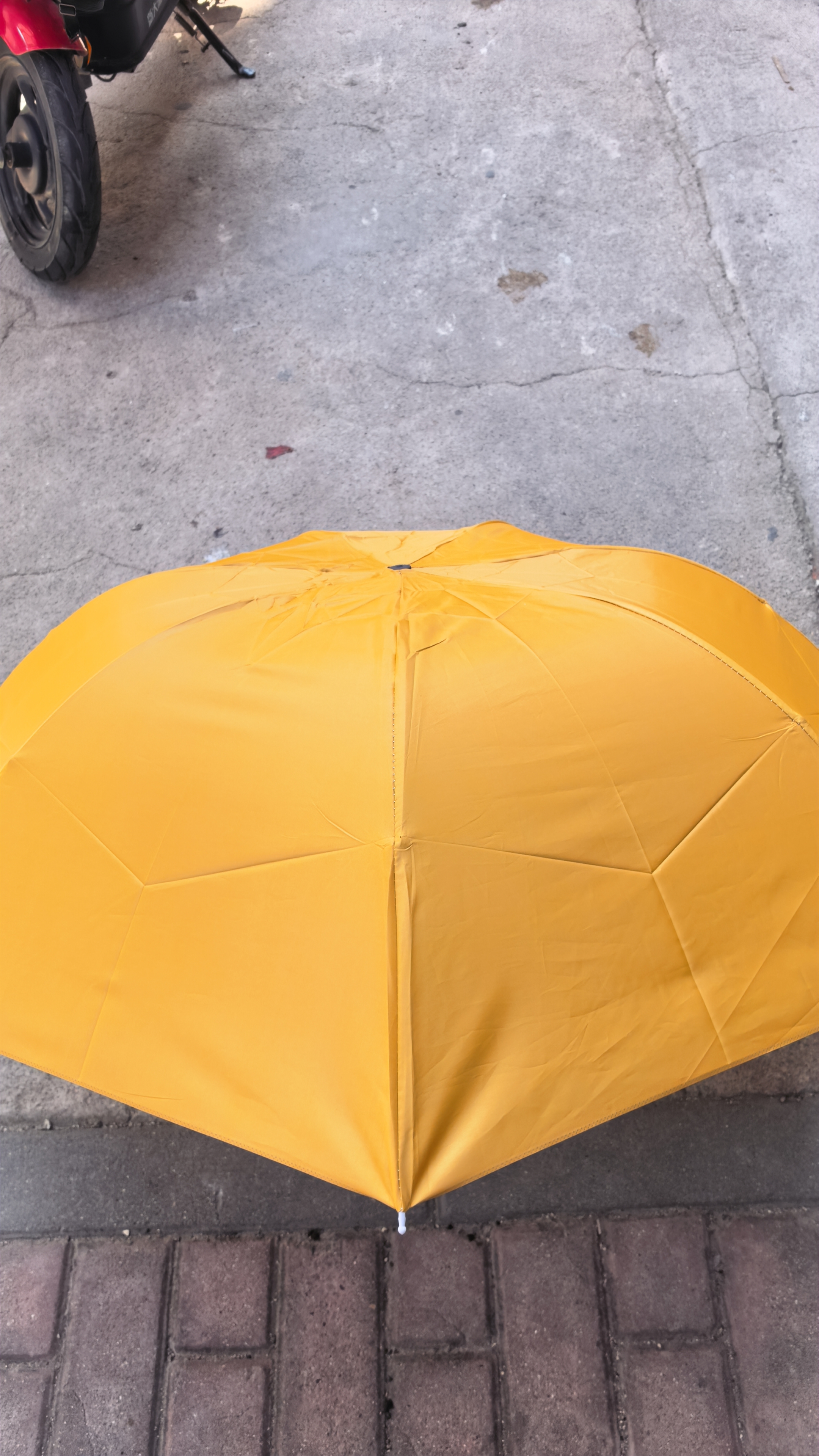 【晴雨两用】手动UV折叠黑胶防晒防外线紫遮阳雨伞 【性价比选择】内层银胶7骨-颜色随机 实拍图