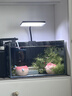 尼奥光（NEO-HELIOS）鱼缸灯水草灯LED灯S3pro+RGB植物光谱 【二代】13W新款尼奥S3pro+【高亮自然】 实拍图