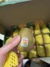 佳沛（zespri）新西兰阳光金奇异果18粒礼盒优选果单果103-124g 猕猴桃水果礼盒 实拍图
