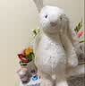 Jellycat害羞乳白色邦尼兔动物毛绒玩偶安抚玩偶娃娃送礼生日礼物 害羞银色邦尼兔 Medium 实拍图
