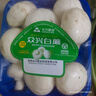 【烧烤季】白蘑菇(口蘑) 230g 实拍图