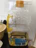 多力葵花籽油1.8L小瓶家用压榨零反式脂肪酸食用油  团购送礼 实拍图