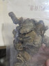 同仁堂品牌 北京同仁堂丹参片500g可搭配中药材黄芪泡茶养生滋补 实拍图