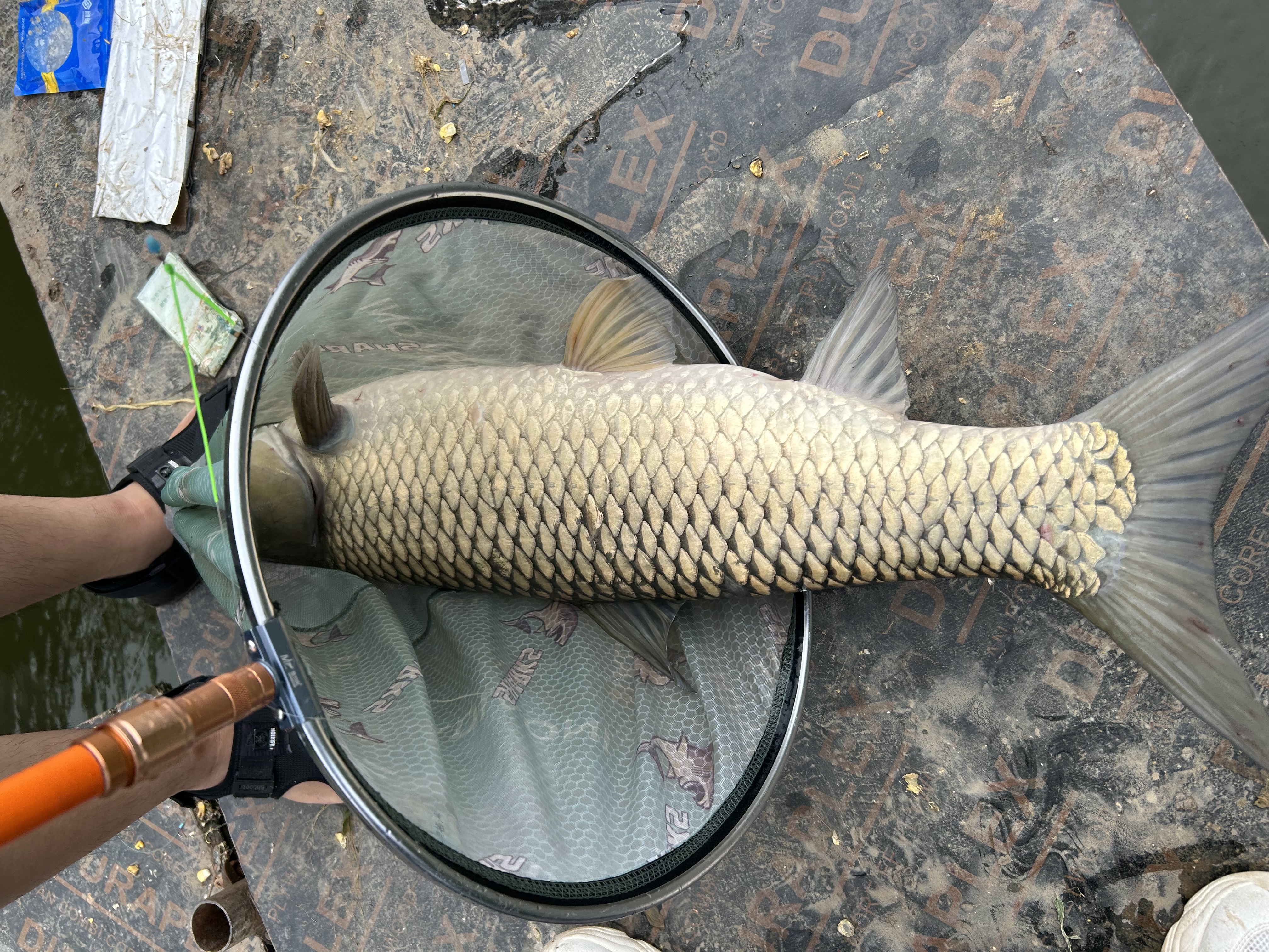 佳钓尼（JIADIAONI）鱼护野钓专用不挂鱼不伤鱼鳞加厚速干涂胶黑坑钓鱼网兜京东自营 实拍图