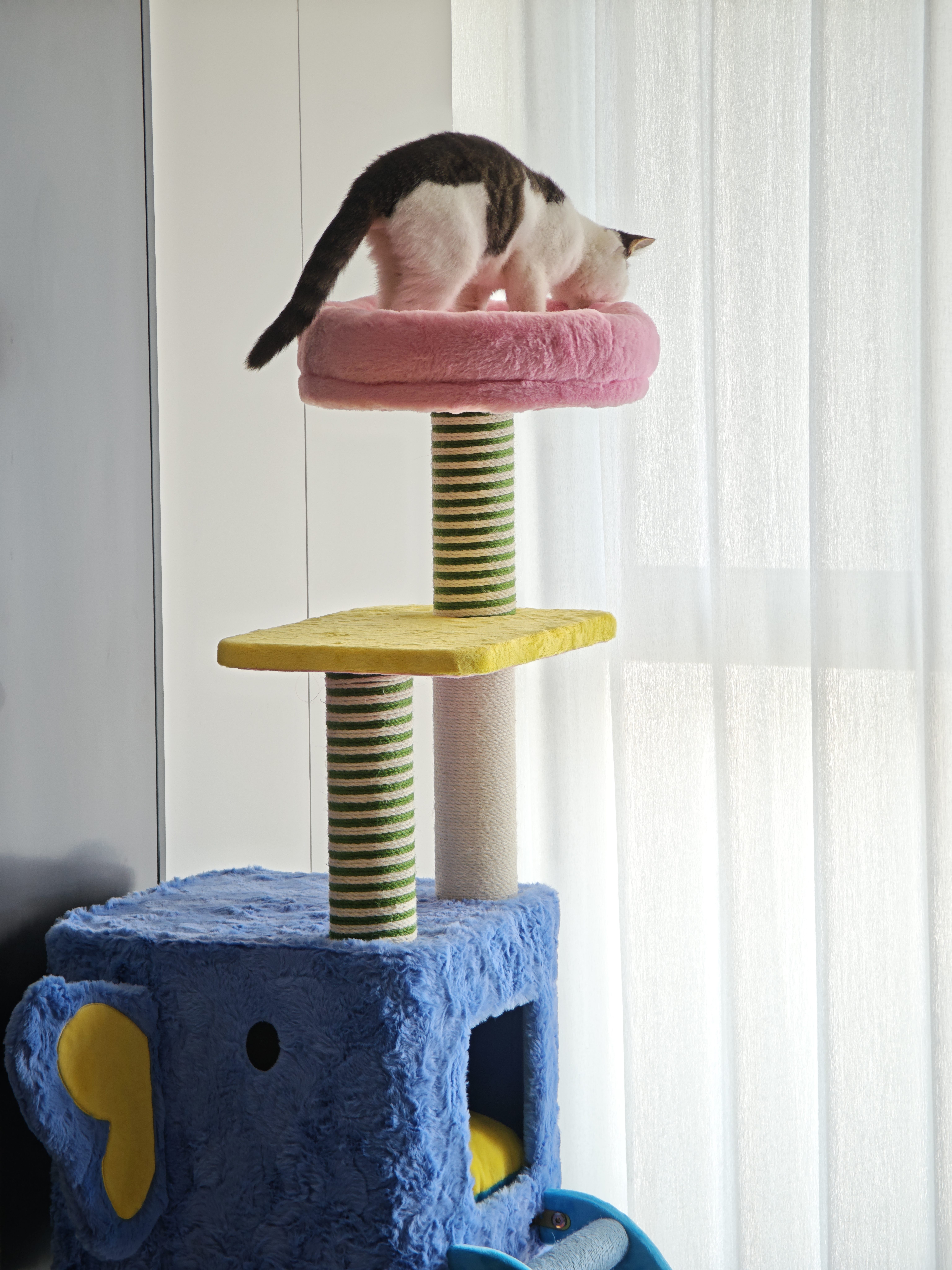 ZEZE【大号款】猫爬架猫窝猫树一体通天柱跳台大型不占地猫咪用品 实拍图