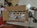 苏泊尔吸尘器家用无线手持大吸力大功率光照显尘长续航宠物家庭适用C10 PLUS-L 实拍图