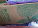 农夫山泉东方树叶绿茶500ml*15瓶无糖茶饮料0糖0脂0卡整箱装饮品 实拍图