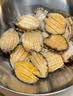 江船长冷冻大鲍鱼 净重400g 10粒袋装 火锅食材  贝类生鲜 实拍图