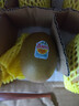 佳沛（zespri）新西兰 阳光金奇异果12粒特大果单果124-146g 猕猴桃水果礼盒 实拍图