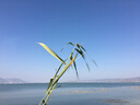 吾诺（UNO）日本活性炭洗面奶男士泡沫洁面乳清爽控油补水保湿祛痘护肤品 三件套（洁面+水+乳） 实拍图